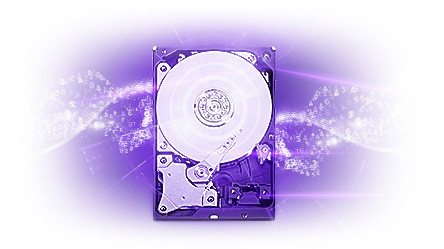 Western Digital 8tb 3 5 Sata 6gb S Purple Sv Hdd Digitalsi